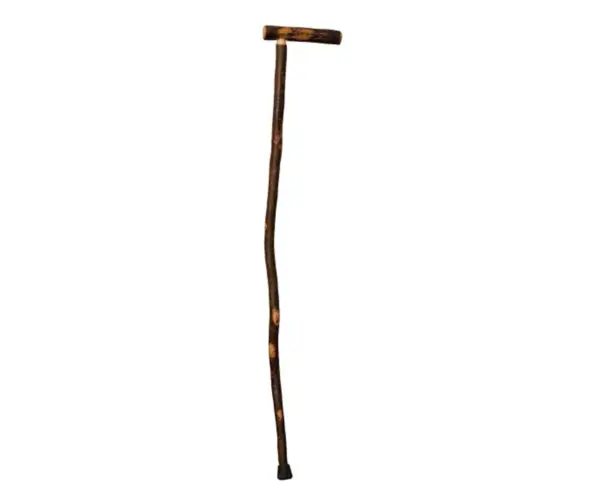 T Handle Cane