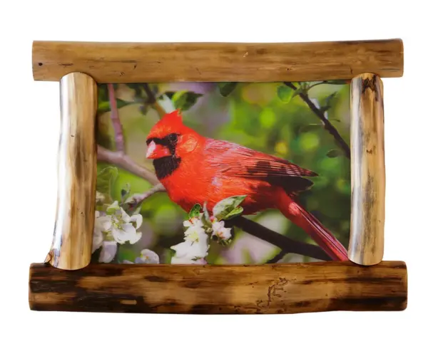 Picture Frame