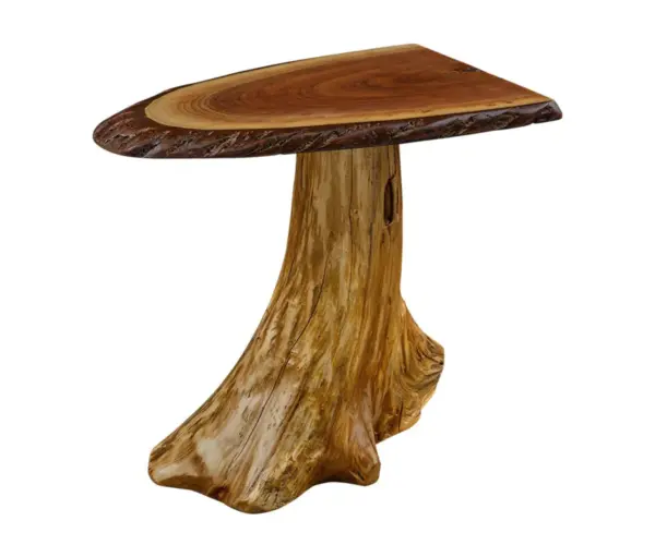 Oval Walnut Swamp Art End Table